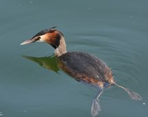 3 Start zum Fischfang